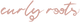 Footer image